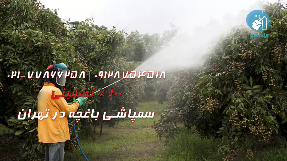سمپاشی باغچه در تهران