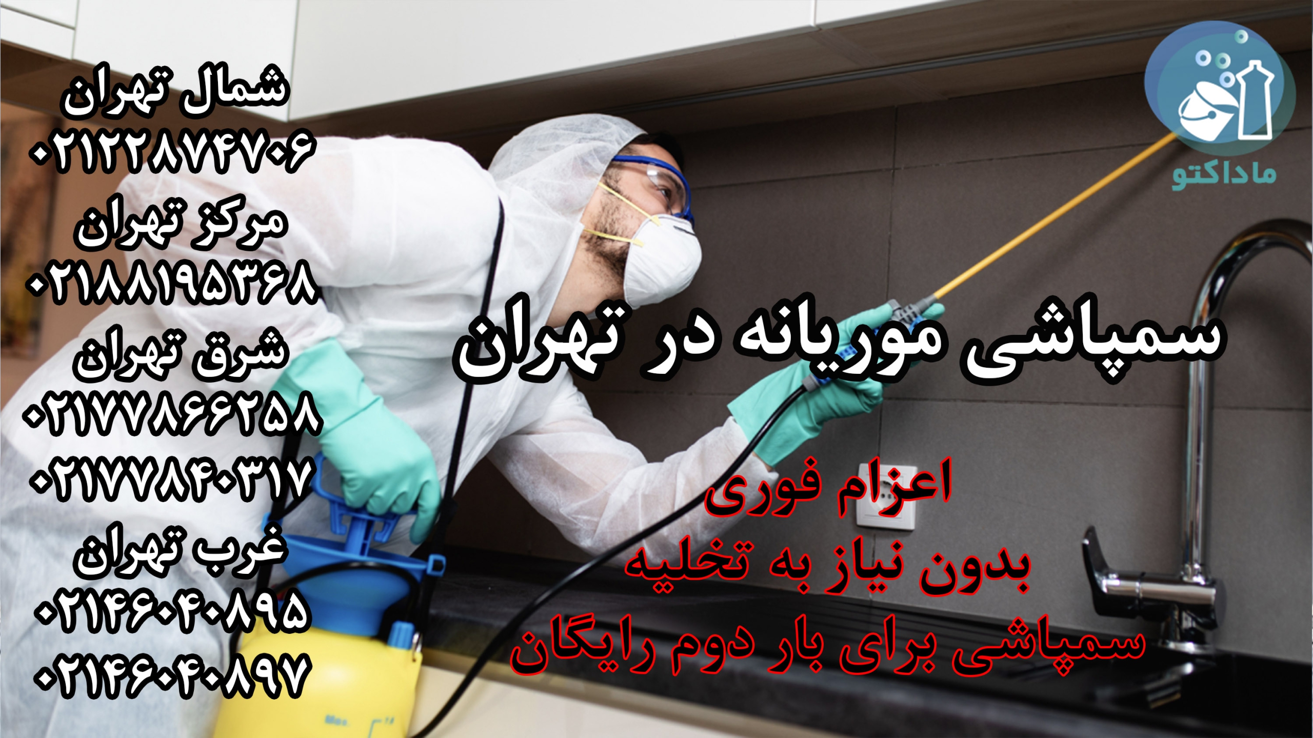 سمپاشی موریانه 8 سمپاشی موریانه در تهران