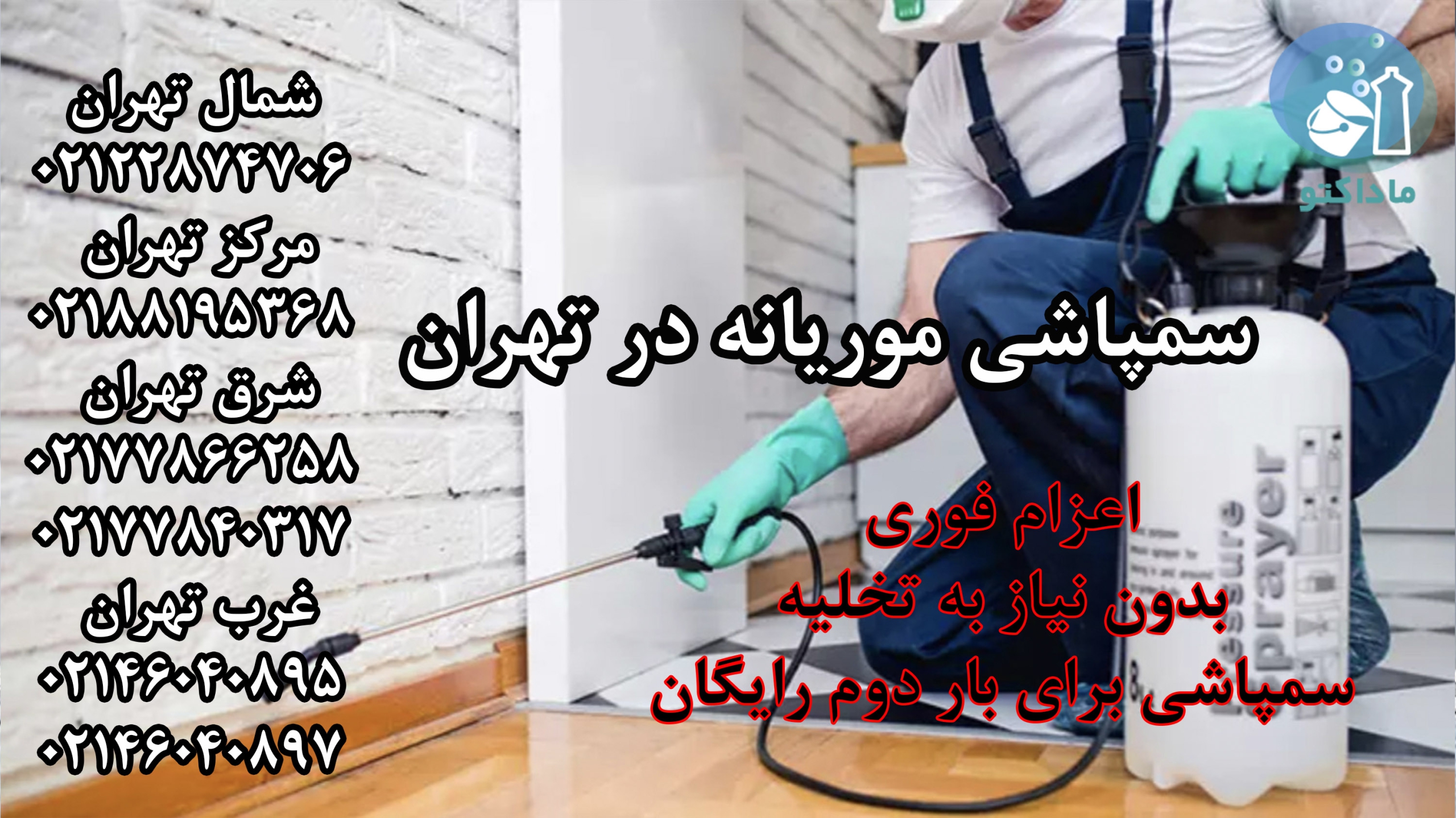 سمپاشی موریانه 10 سمپاشی موریانه در تهران