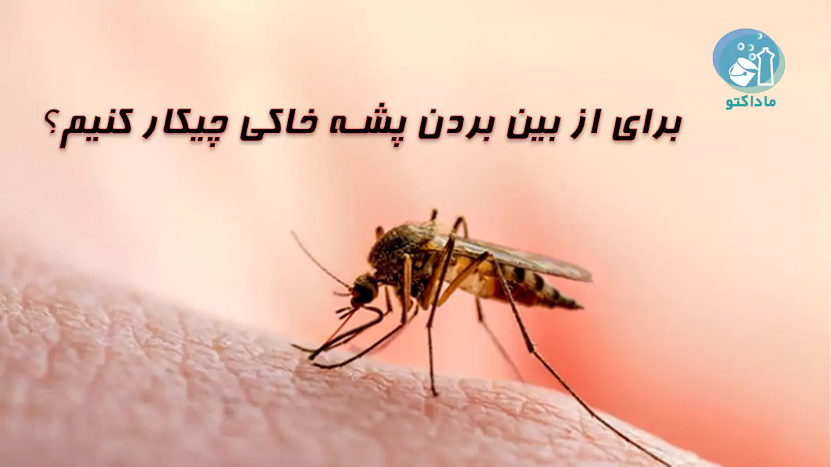 برای از بین بردن پشه خاکی چیکار کنیم؟