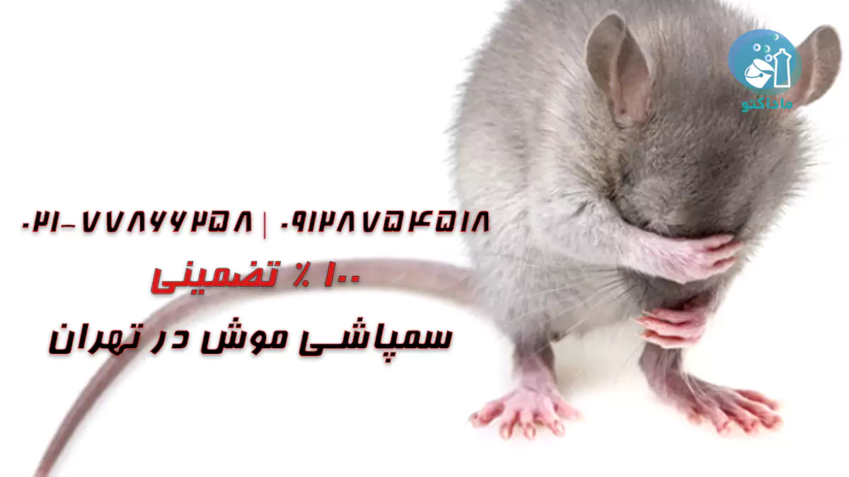 موش از چی بدش میاد؟