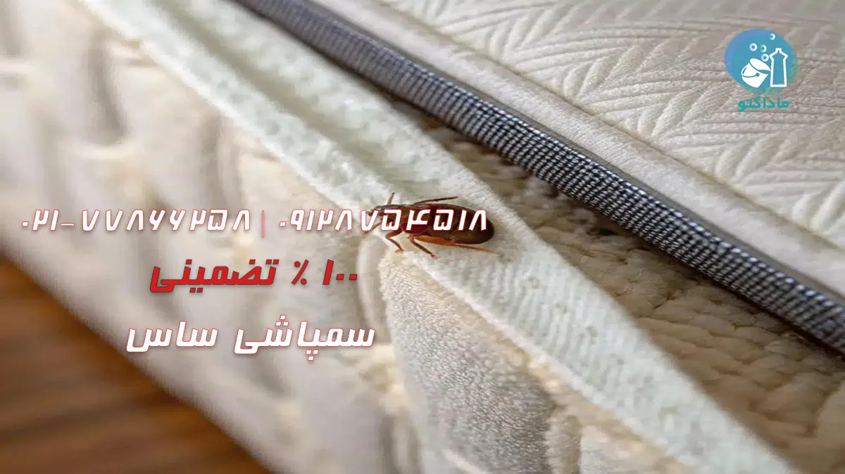 روش‌های خانگی سمپاشی ساس