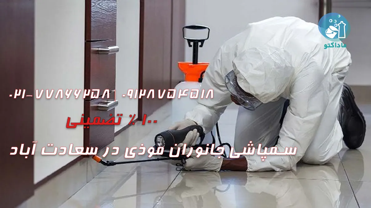 سمپاشی سوسک در منزل