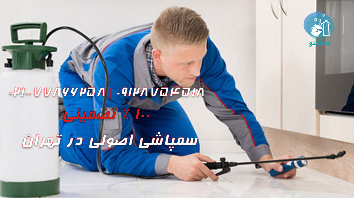 چگونه سمپاشی اصولی انجام دهیم؟ 22 تکنیکهای صحیح پاشش برای حداکثر اثربخشی