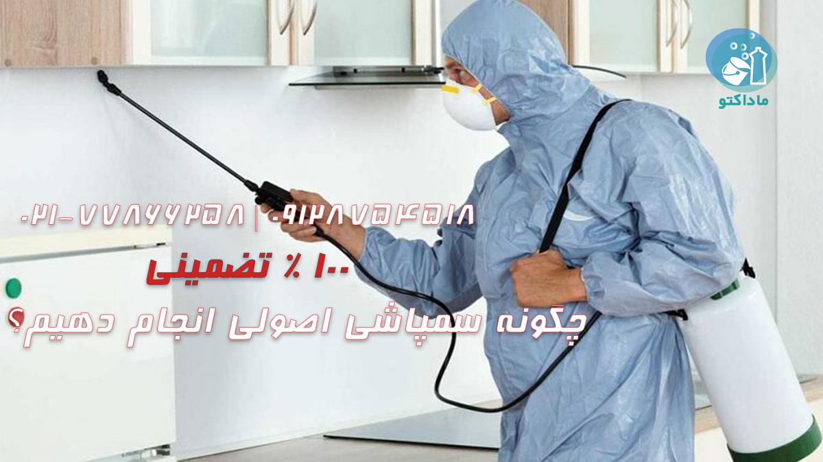 چگونه سمپاشی اصولی انجام دهیم