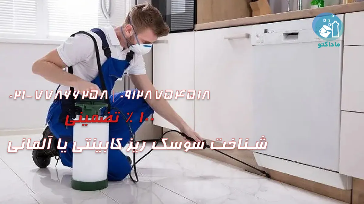 شناخت سوسک ریز کابینتی یا آلمانی