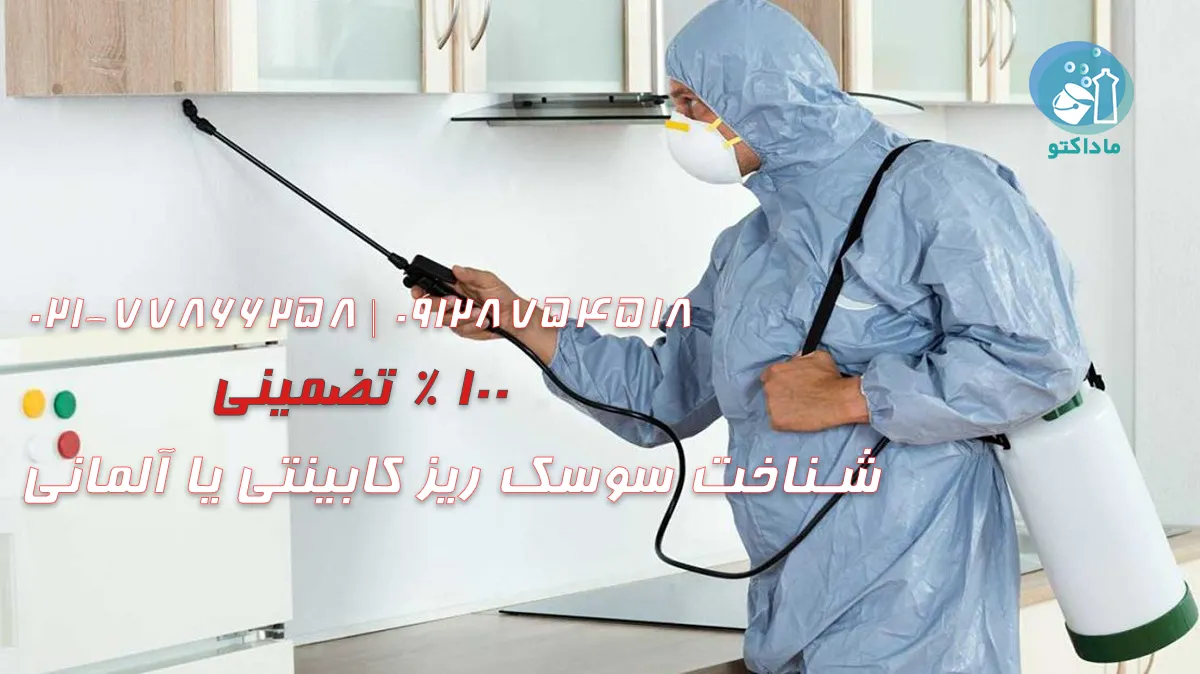 شناخت سوسک ریز کابینتی یا آلمانی 24 شناخت سوسک ریز کابینتی یا آلمانی