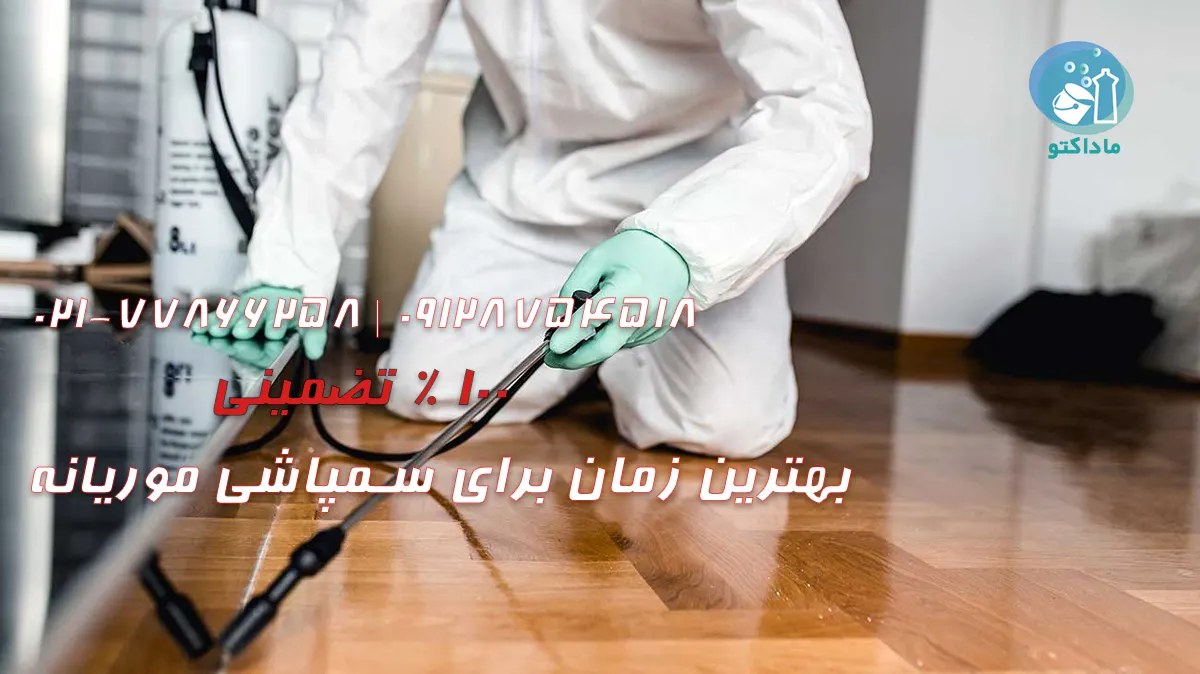 روش سمپاشی موریانه