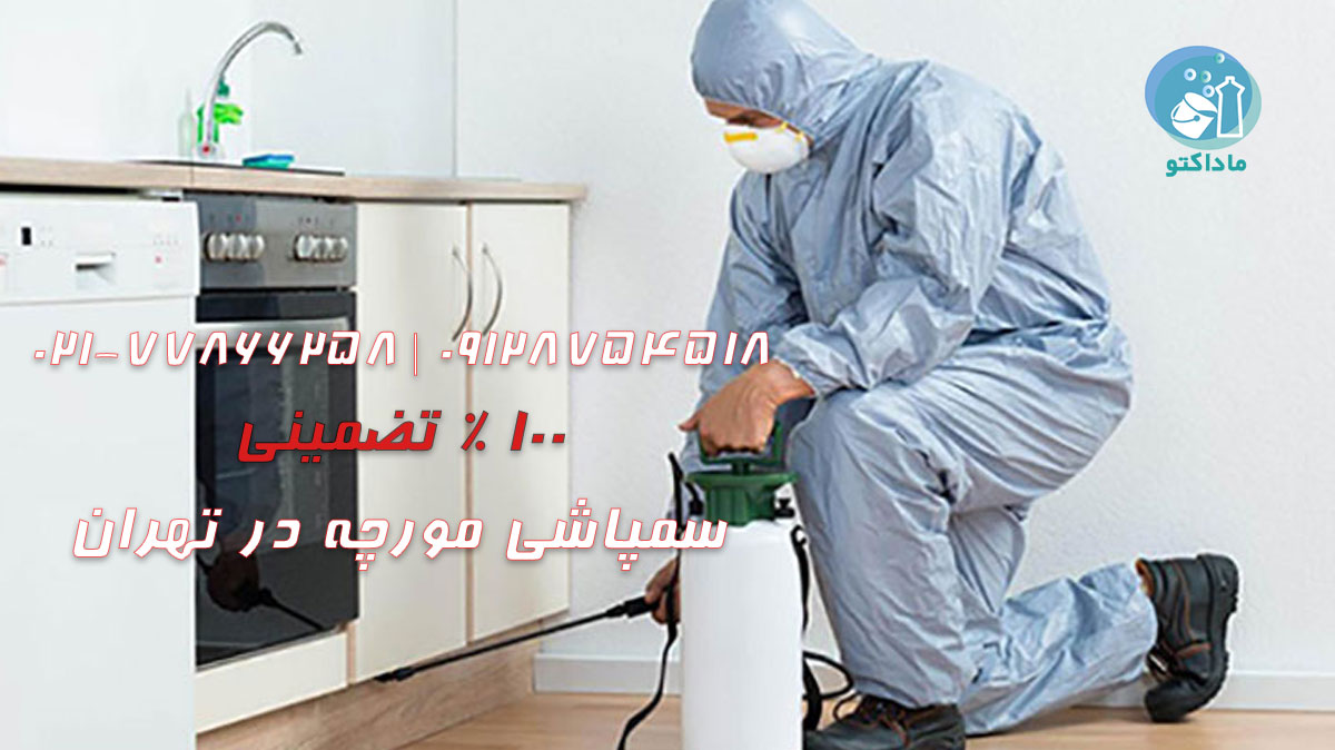 چگونه سمپاشی اصولی انجام دهیم؟ 21 What is systematic spraying and why is it important 1