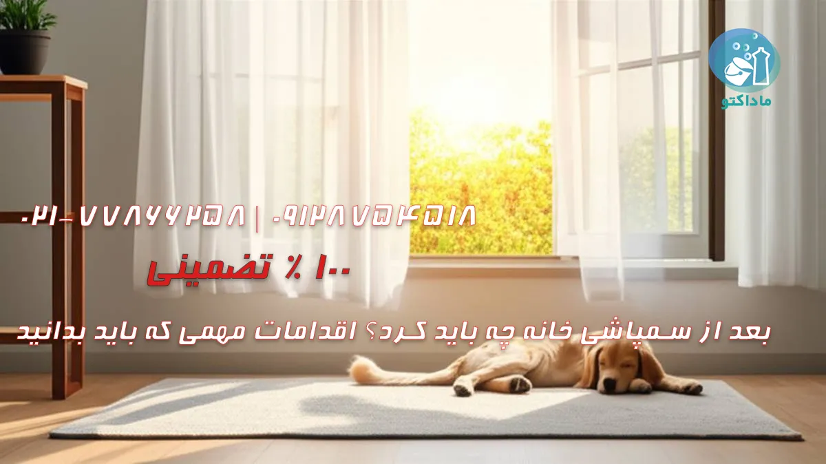 بعد از سمپاشی خانه چه باید کرد؟ اقدامات مهمی که باید بدانید