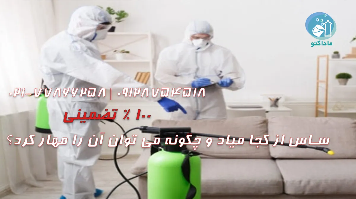 ساس از کجا میاد و چگونه می توان آن را مهار کرد؟ 21 ساس از کجا میاد و چگونه می توان آن را مهار کرد