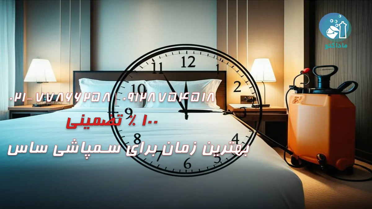 بهترین زمان برای سمپاشی ساس