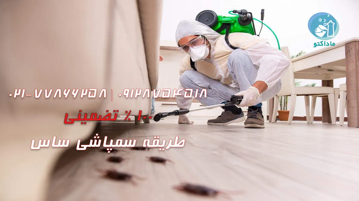روش‌های مؤثر کنترل و نابودی ساس