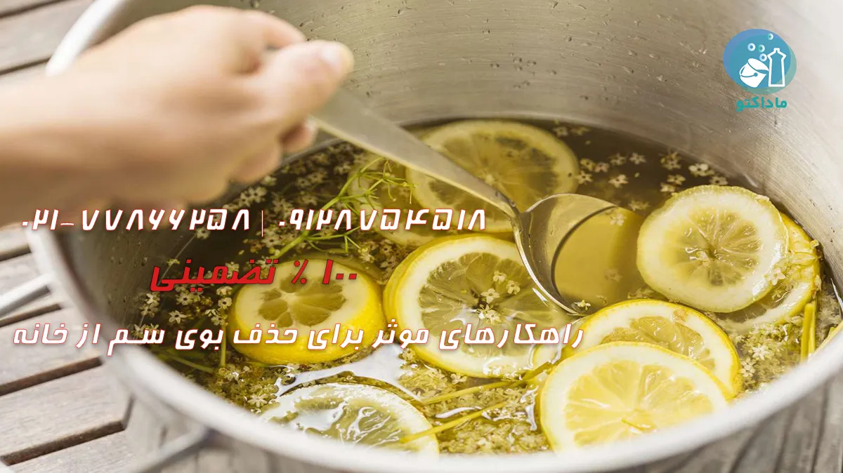 راهکارهای موثر برای حذف بوی سم از خانه