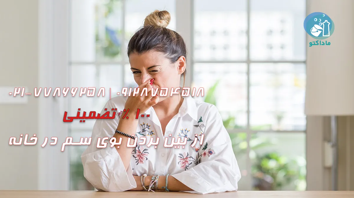 از بین بردن بوی سم در خانه