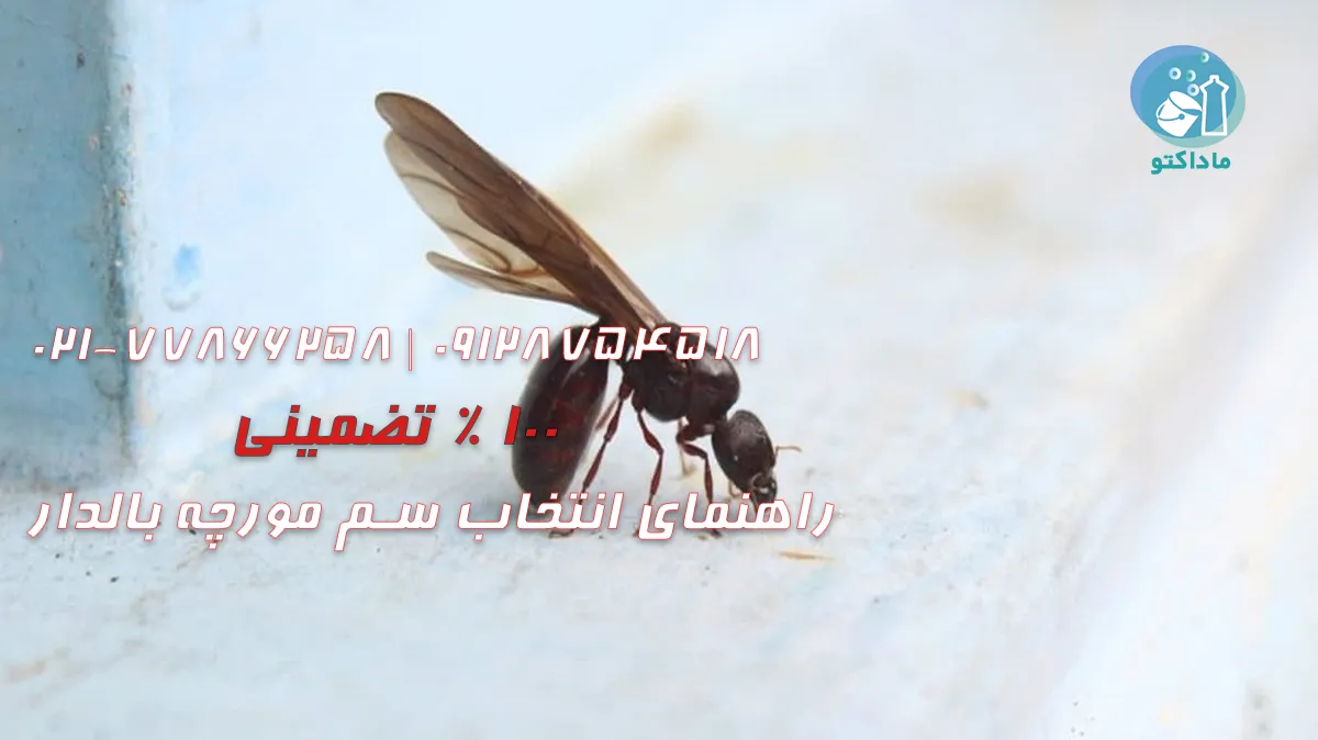 راهنمای انتخاب سم مورچه بالدار