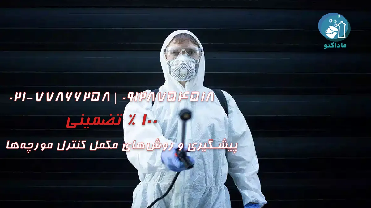 پیشگیری و روش‌های مکمل کنترل مورچه‌ها