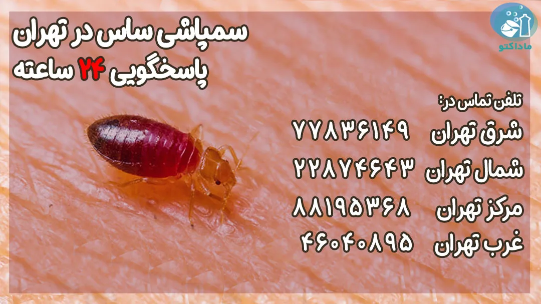 بهترین شرکت سمپاشی ساس در تهران