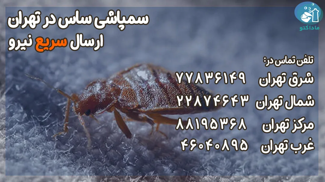 قیمت سمپاشی ساس در تهران