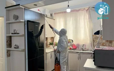 گالری نمونه‌ کارهای سمپاشی مارمولک