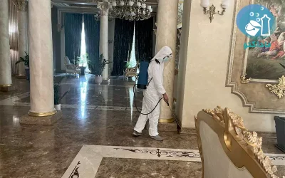 گالری نمونه‌ کارهای سمپاشی مارمولک