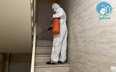 گالری نمونه‌ کارهای سمپاشی موش