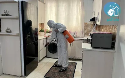 سمپاشی سوسک در تهران 5 نمونه کارهای سمپاشی سوسک در تهران