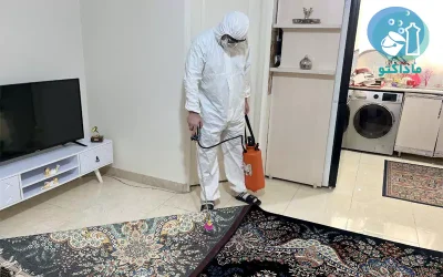 گالری نمونه‌ کارهای سمپاشی پشه