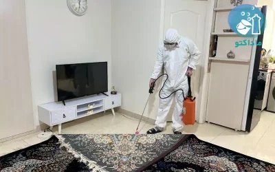 گالری نمونه‌ کارهای سمپاشی مورچه