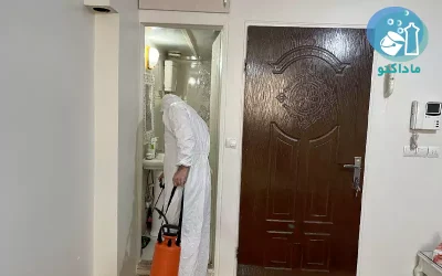 سمپاشی کنه 5 گالری نمونه کارهای سمپاشی کنه