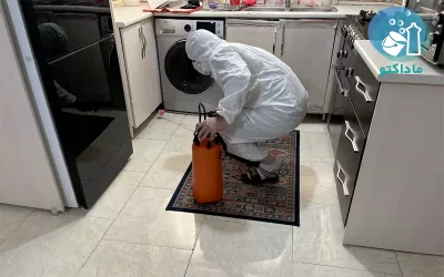 گالری نمونه‌ کارهای سمپاشی کک